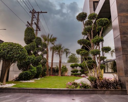 WhatsApp Image 2026-04-01 at 3.40.32 PM